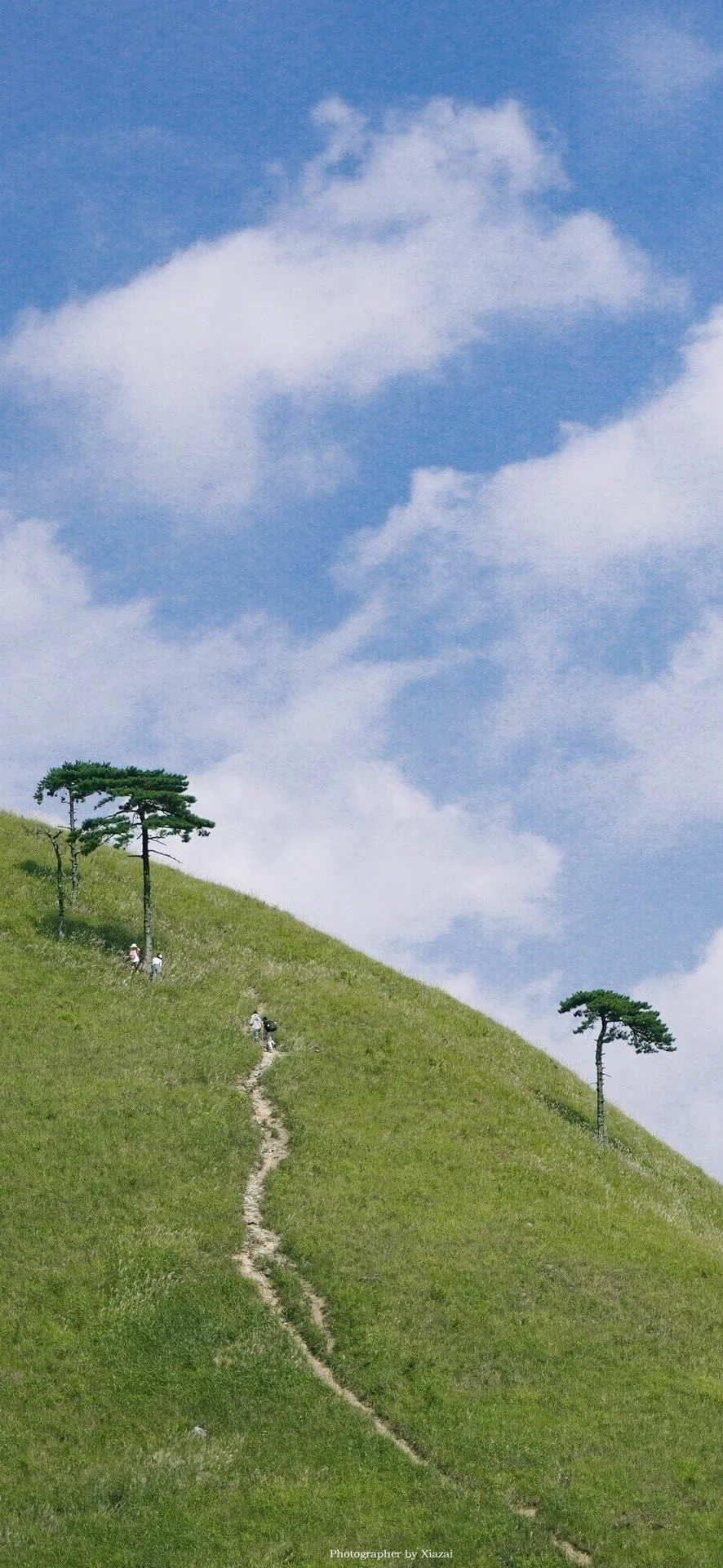 壁纸｜高质量景物