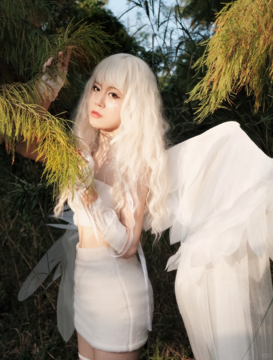 堕落天使｜你是梦里南柯