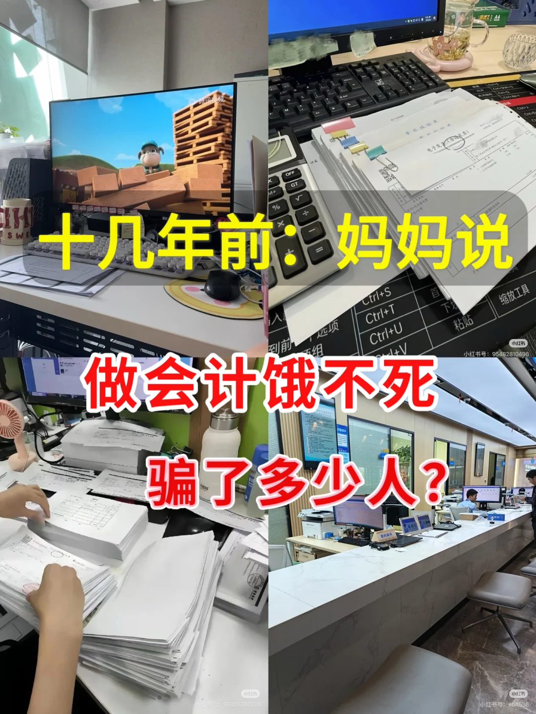 会计的漂泊人生。#各地人生写真集