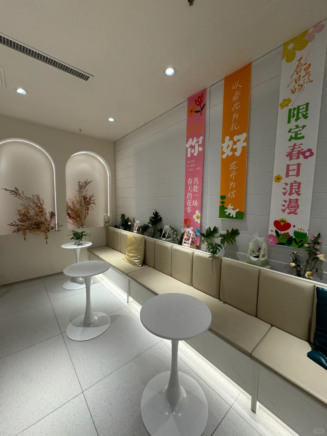 瑜伽日常｜石家庄宝藏瑜伽馆get🧘‍♀️