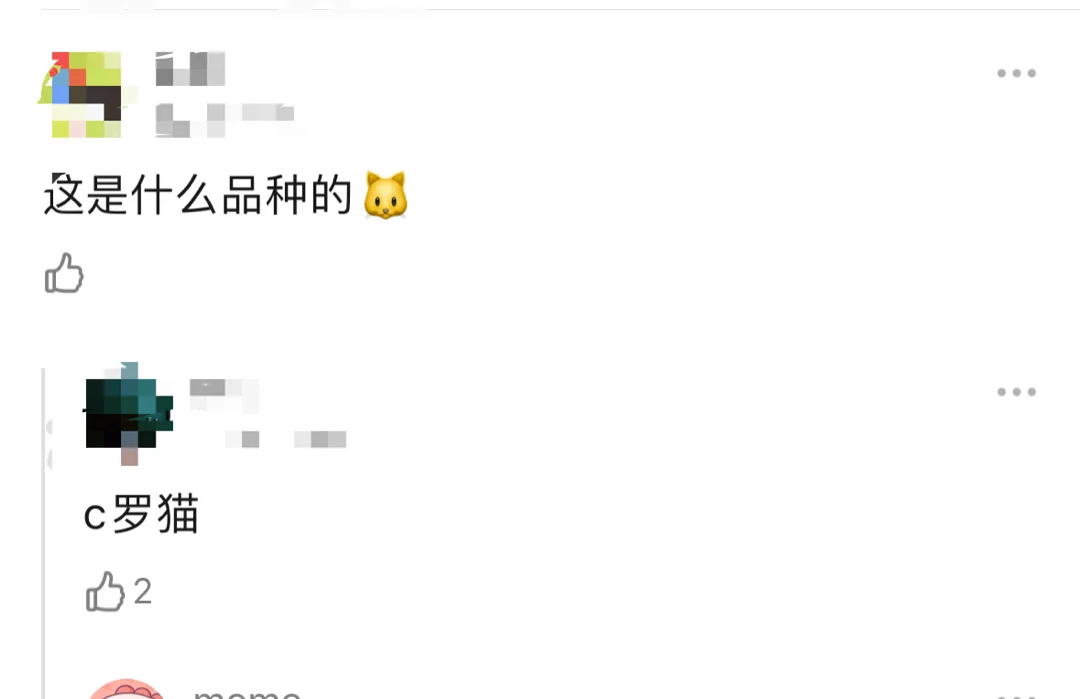 债券