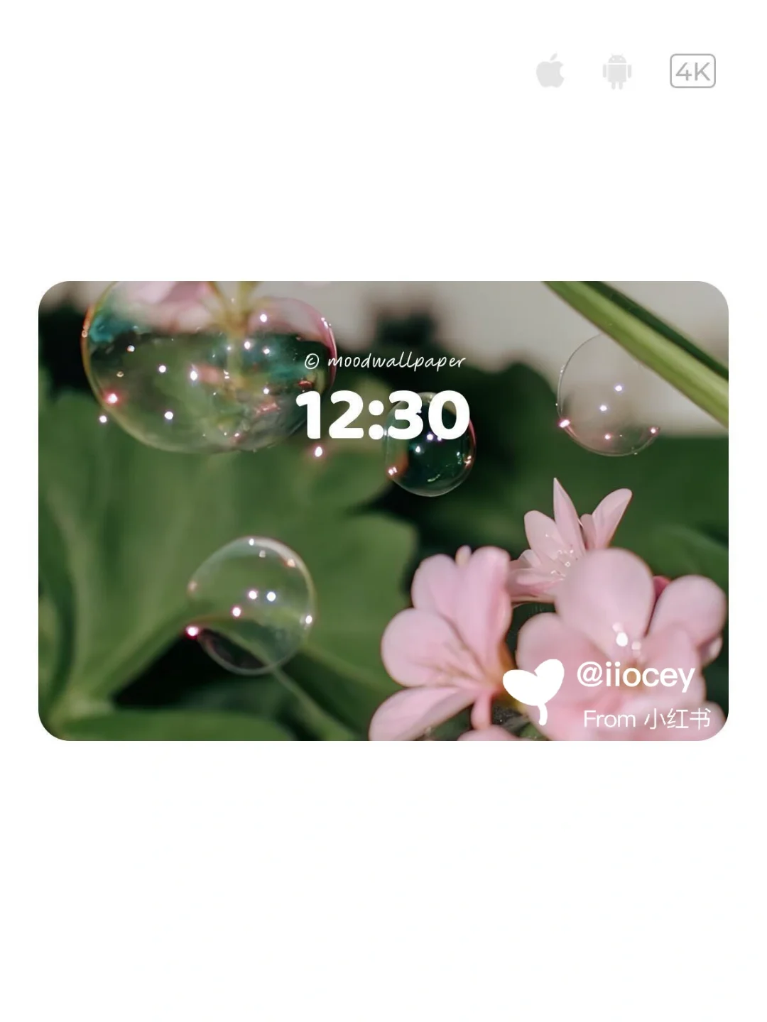 夏日晚香｜Mood｜情绪壁纸