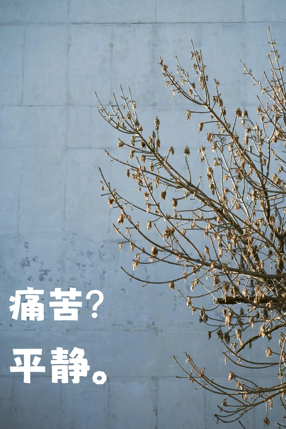 请不要抵抗痛苦