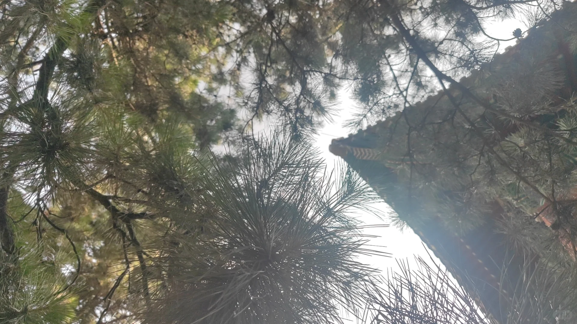 拍私房要注意安全