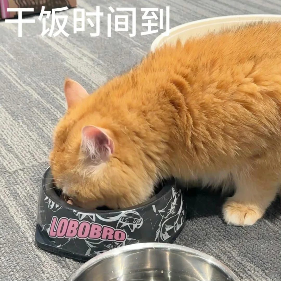 吧唧吧唧一口