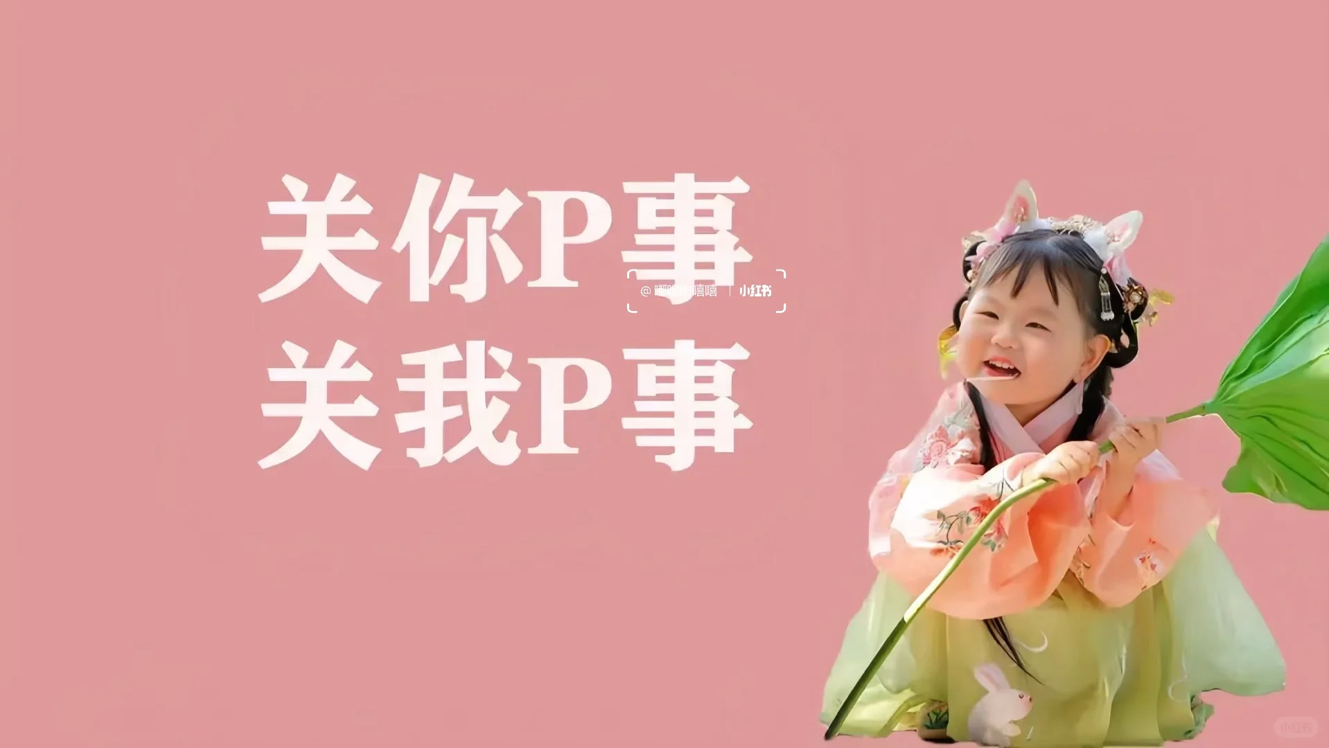 “你瞅啥”可爱有趣的电脑平板壁纸又添加啦