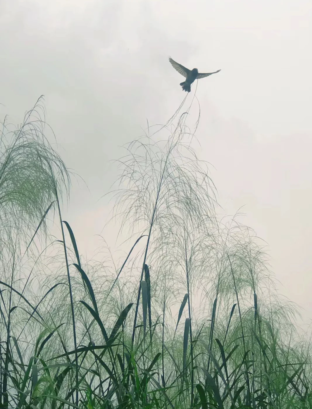“你会翻过山 看到万丈晴天”