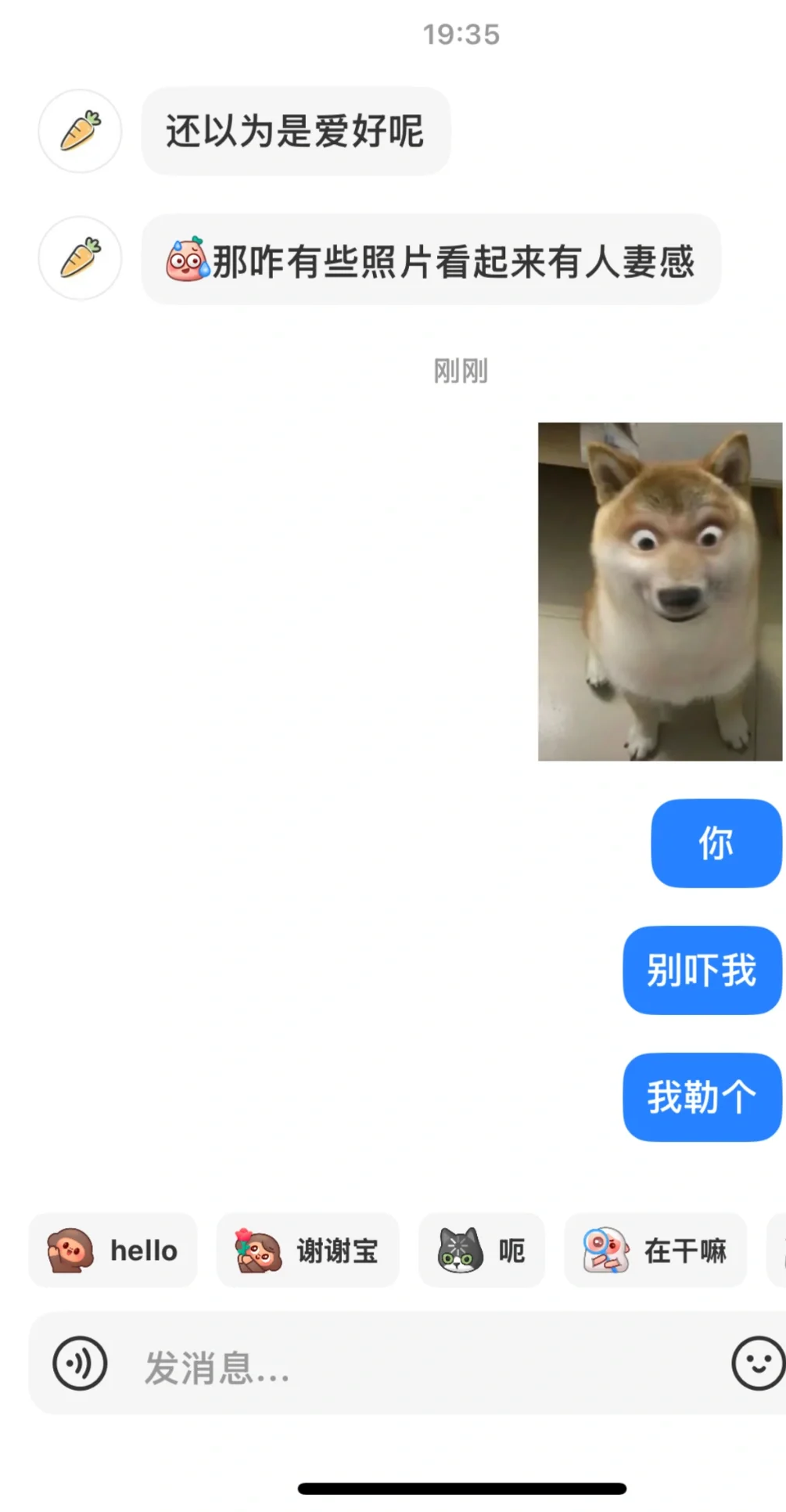 救命啊😵