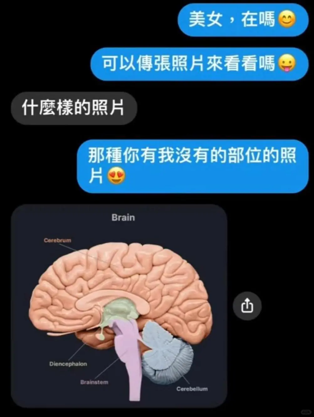一些暴露真相的meme