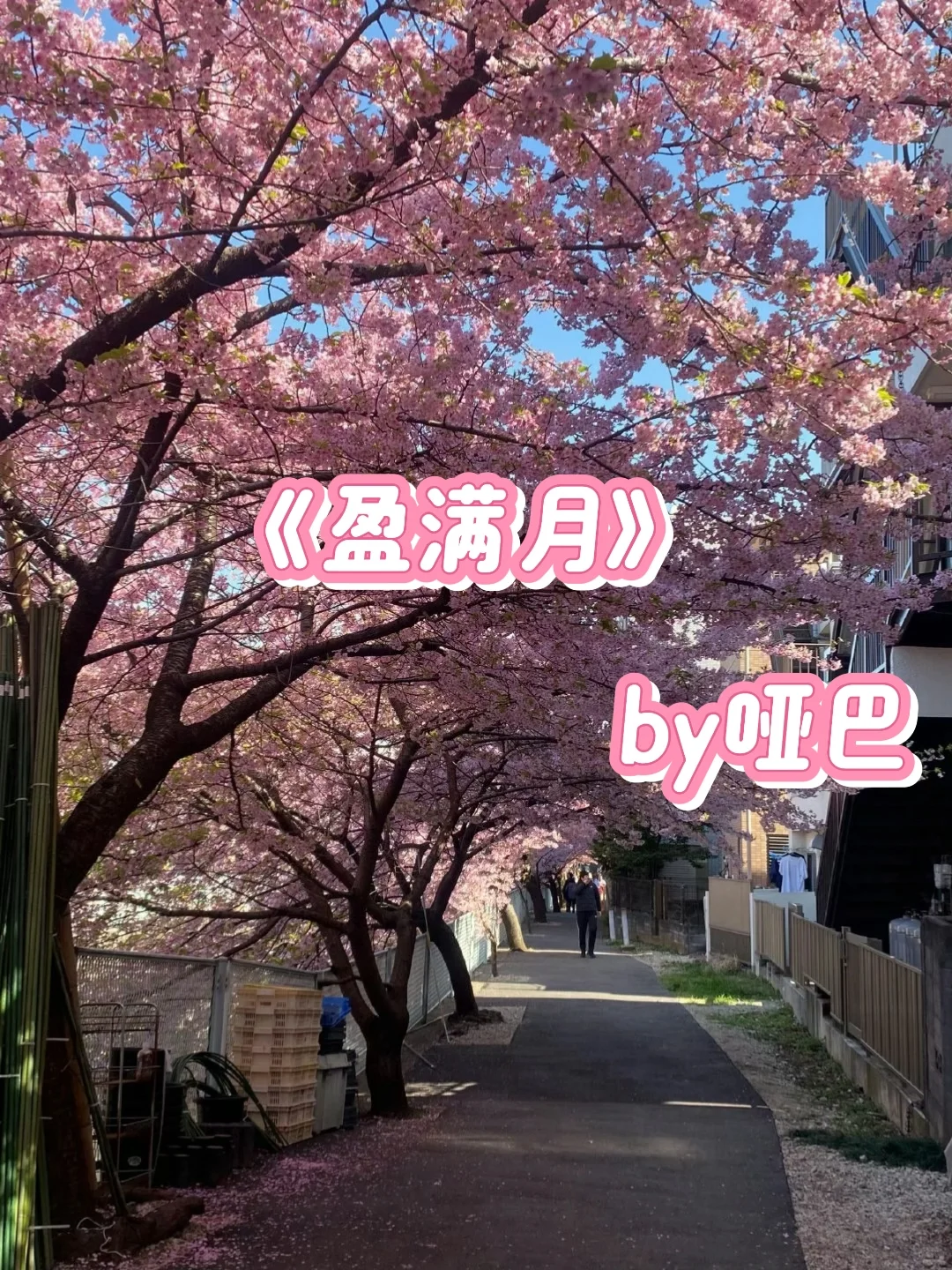 ‼️必看 笨蛋娇艳女主vs冷峻宠妻知青