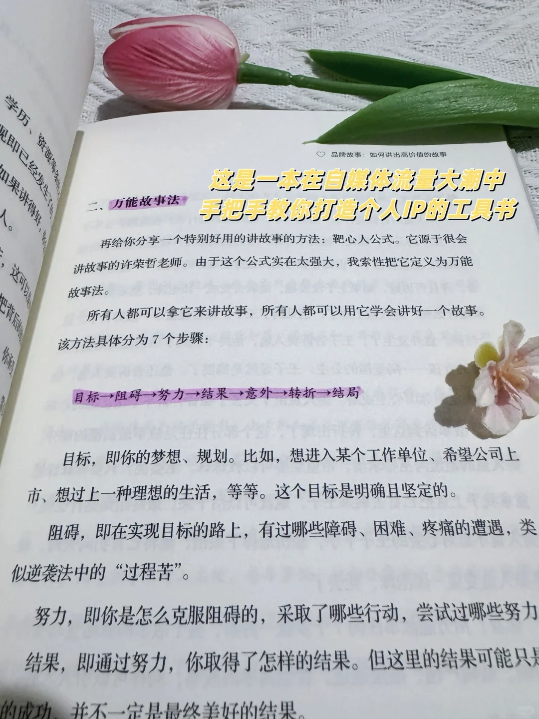 《1000个铁粉》