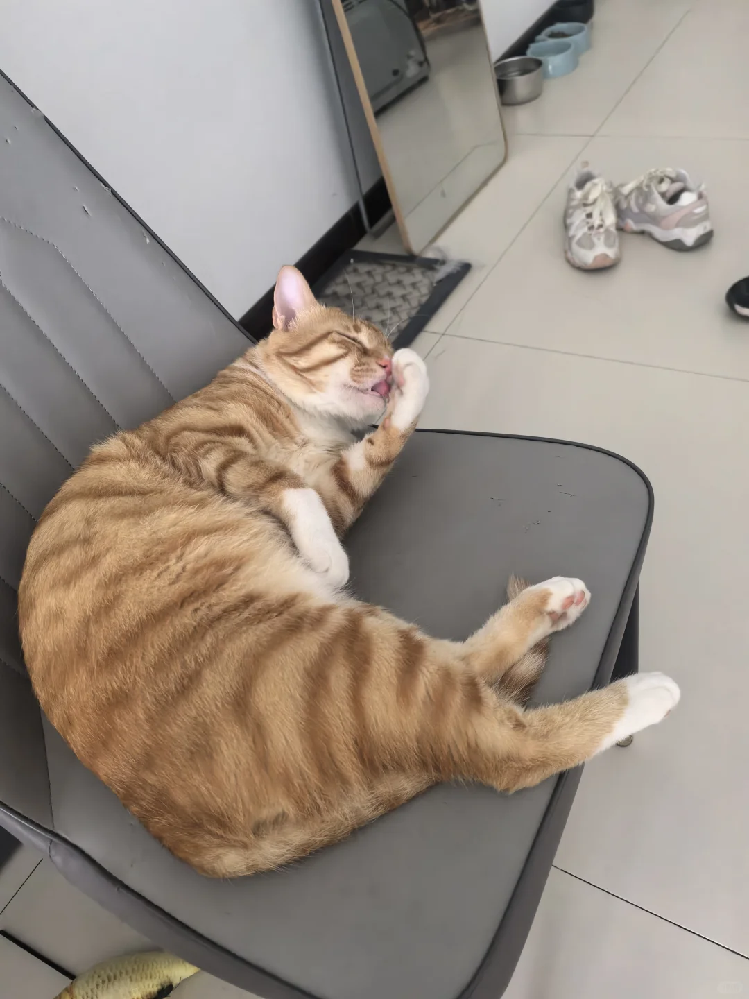 小苏苏呀
