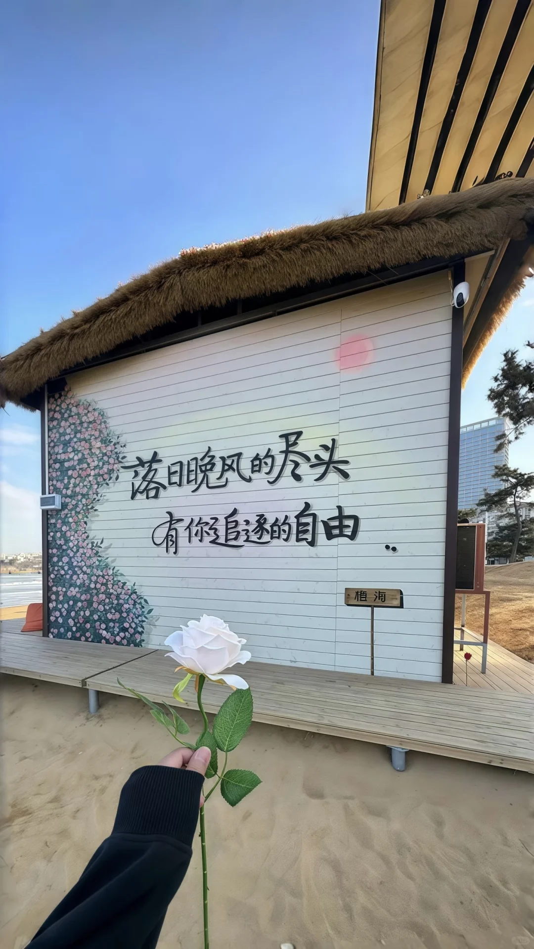 个性手机壁纸分享