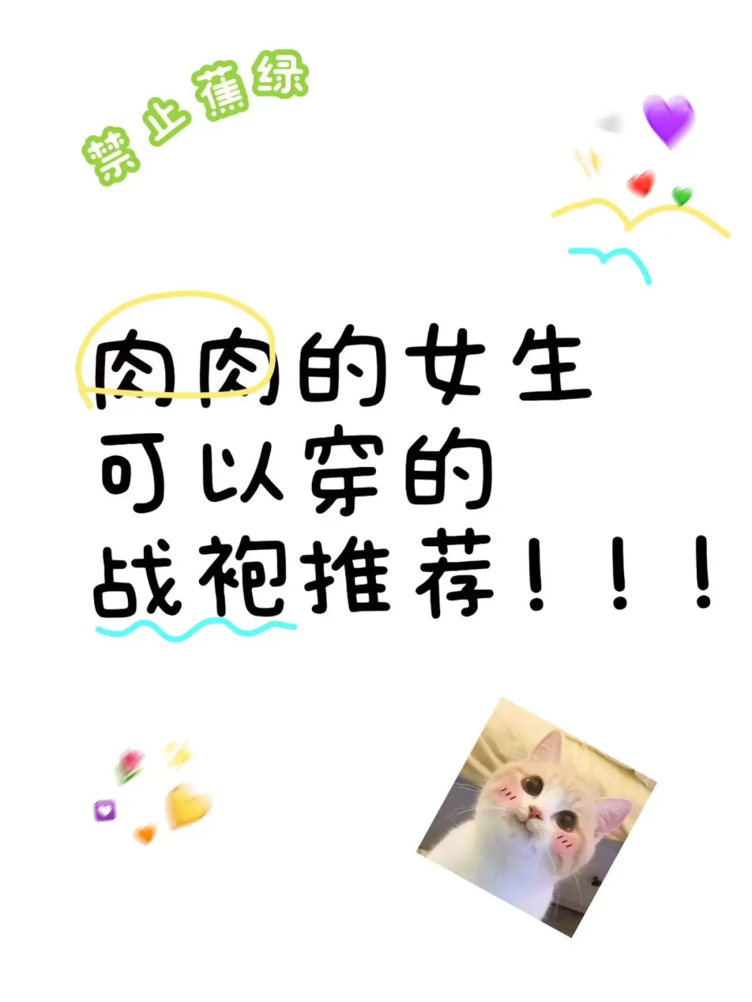 可可爱爱的战袍们～肉肉女生