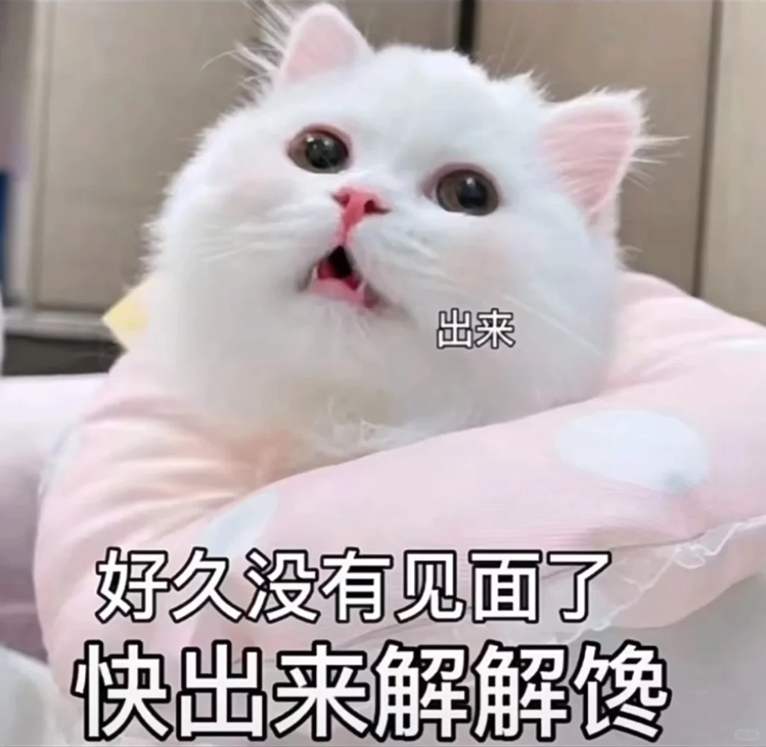 这样谈，感情越深厚