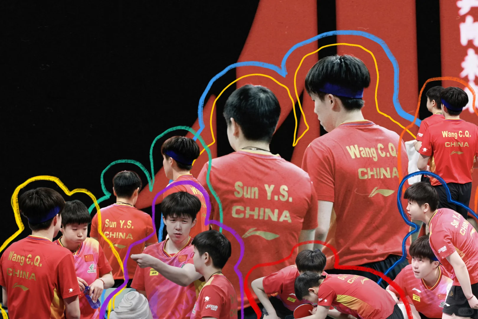 莎头自制壁纸～（成都混团版🦁🦈）