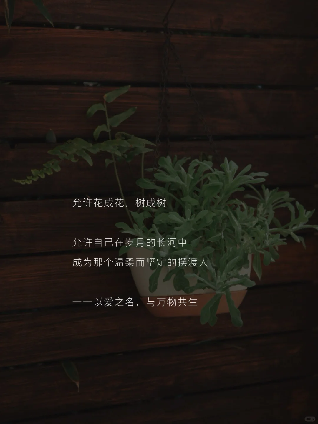 允许一切发生，是温柔且坚定的力量