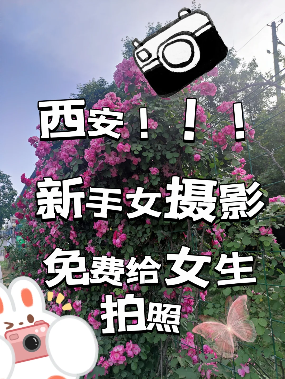 西安｜计划给100个女生免费拍照！