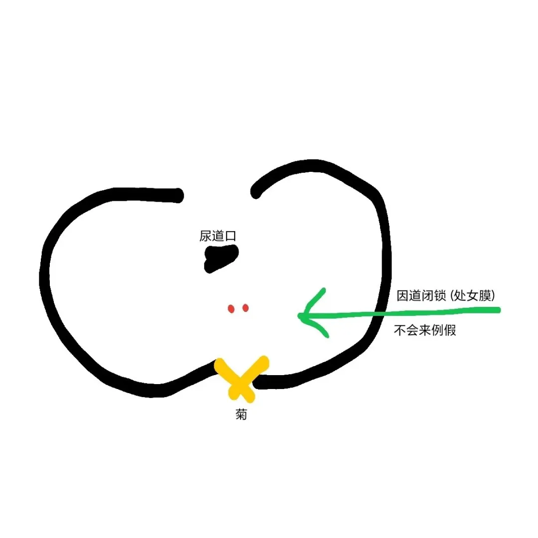 石女没有因到怎么小便❓
