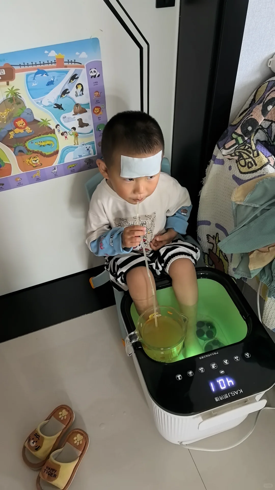 拥有一个敏宝的心累