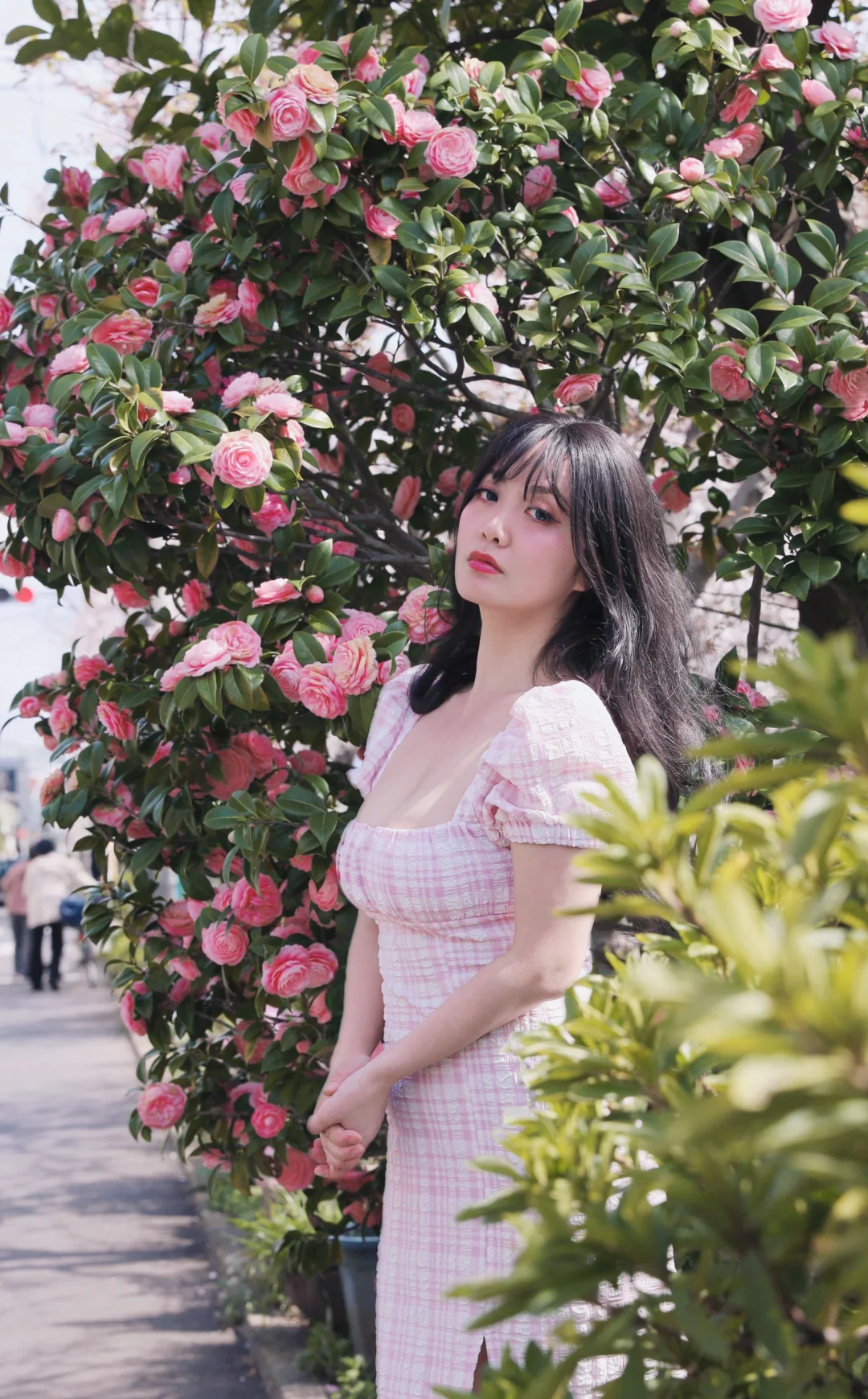 茶花不比樱花差❤️肉肉女生