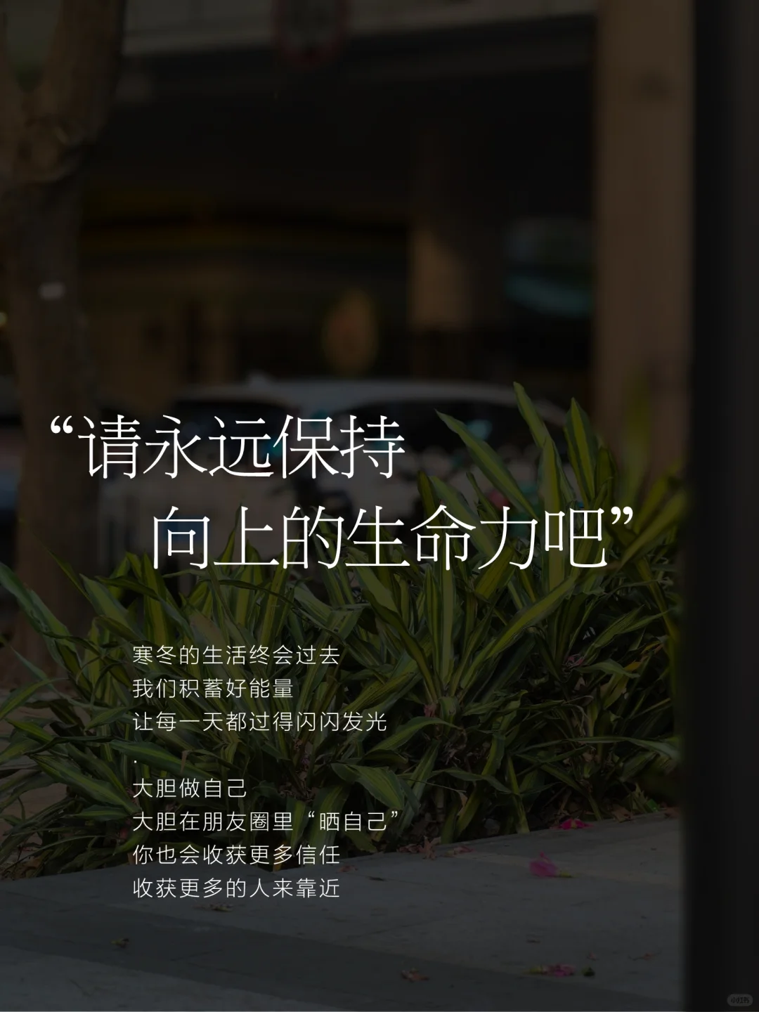比起漂亮，我更喜欢向上的生命力🌿