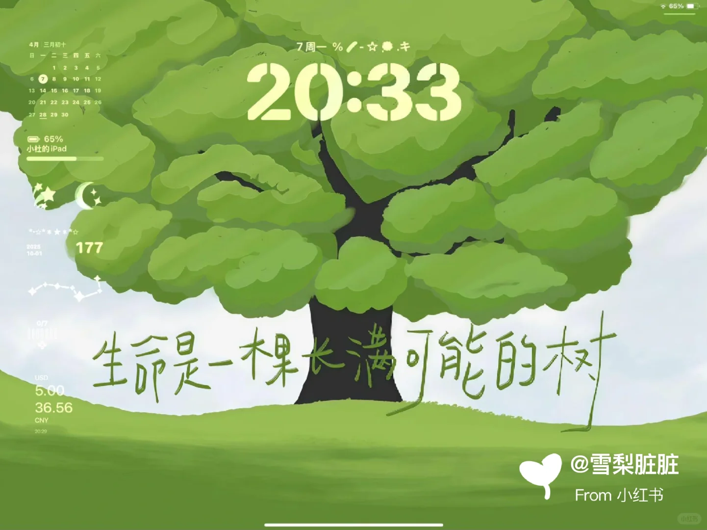 能量满满的荔枝壁纸，用到每天都会努力学习