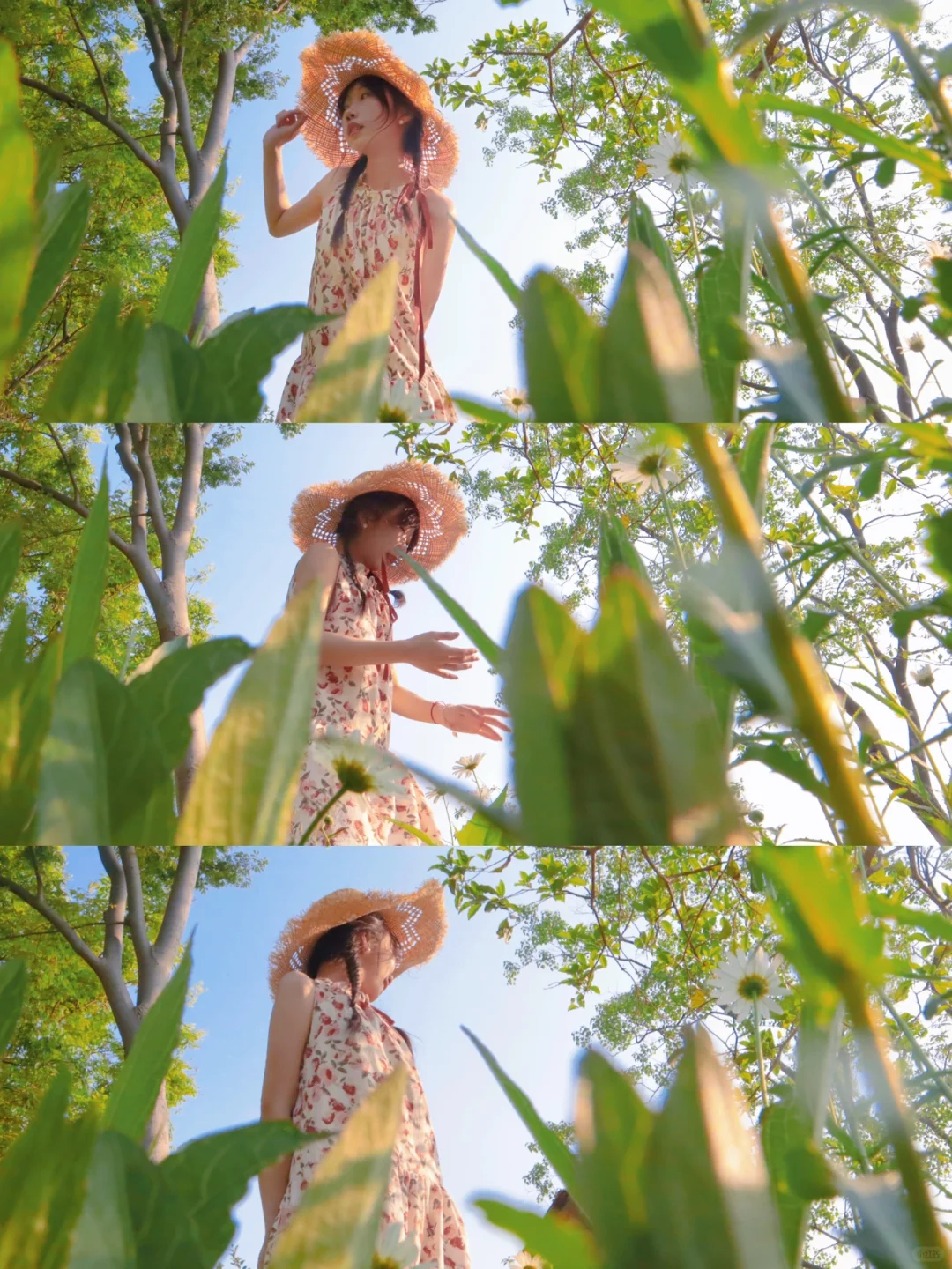 白花绿草黑发草帽麻花辫女脸部写真