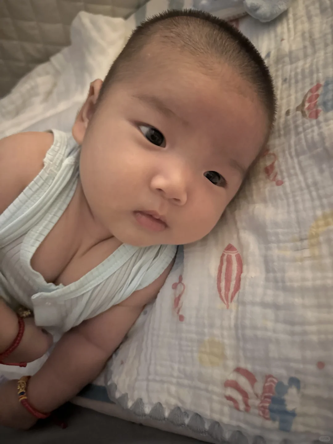 性感小王子