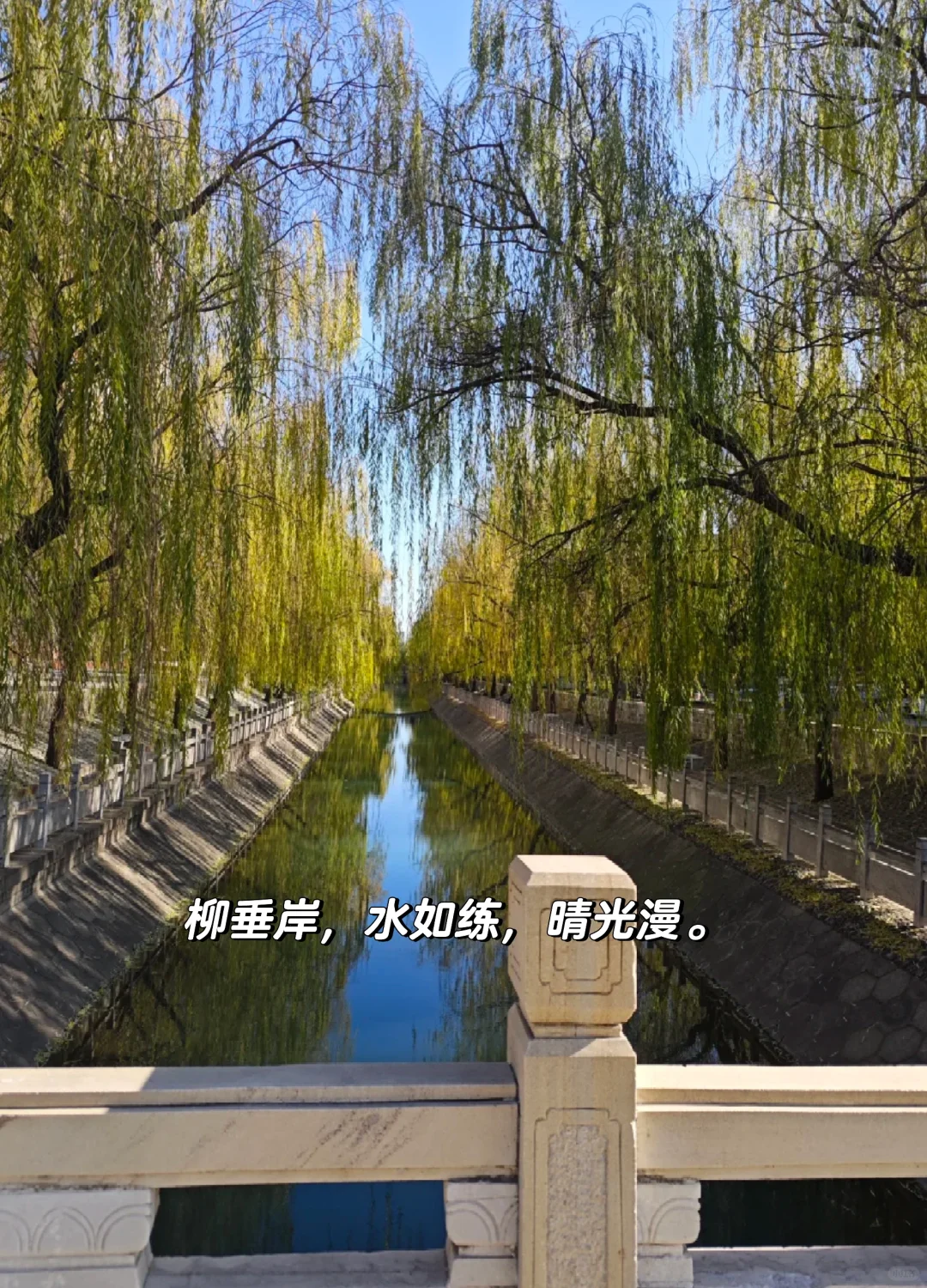 柳垂岸，水如练，晴光漫。