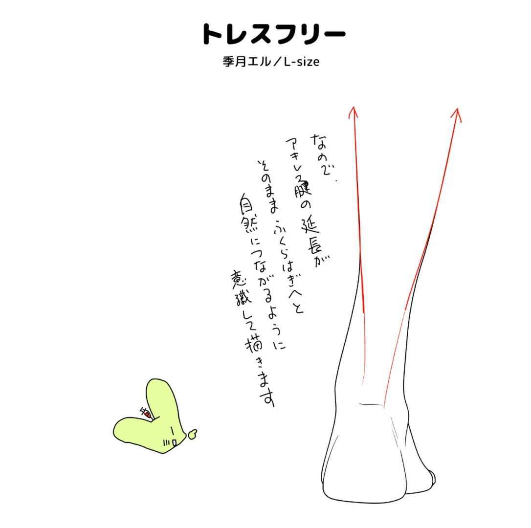 人体结构 走路时的脚部