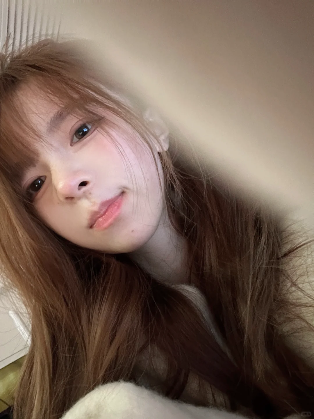 🖇️💭˖꙳◦