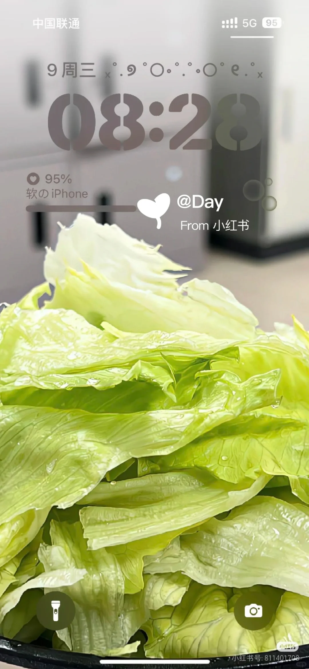蔬菜🥬壁纸来喽