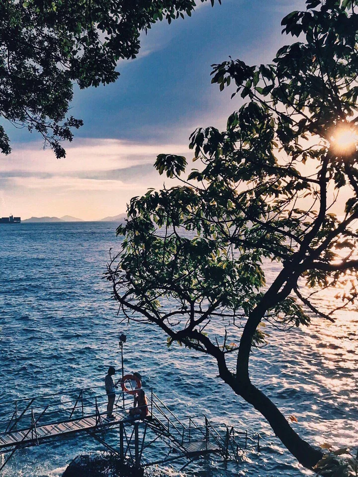🌳今🌿日🌥壁😍纸