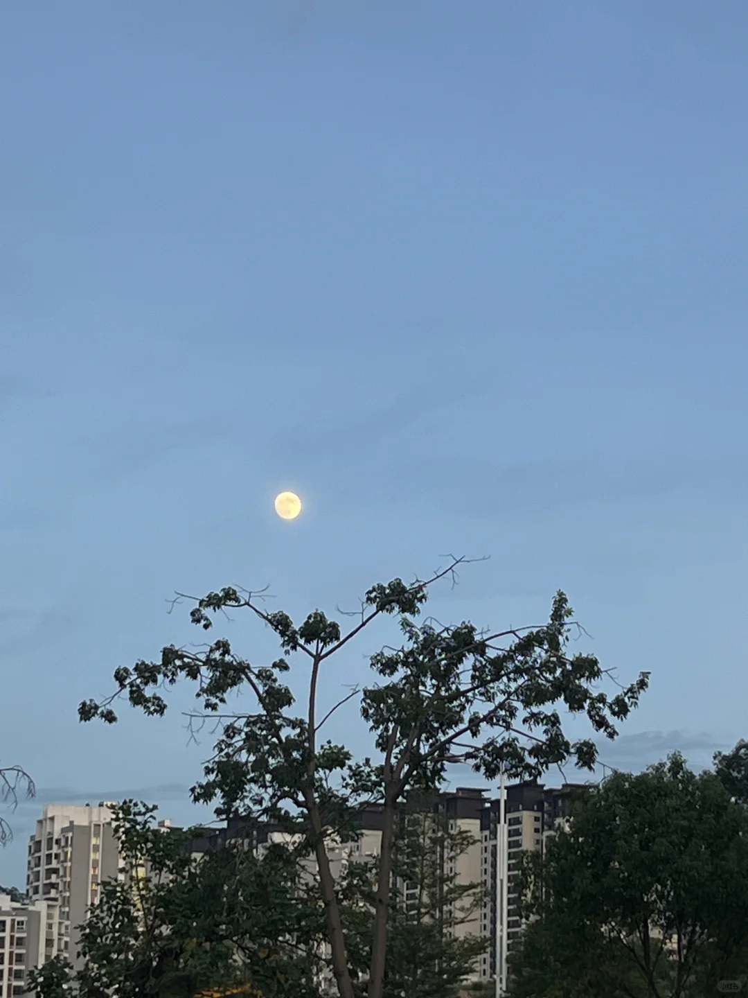 有人能来告诉我文科英专生到底要不要考研