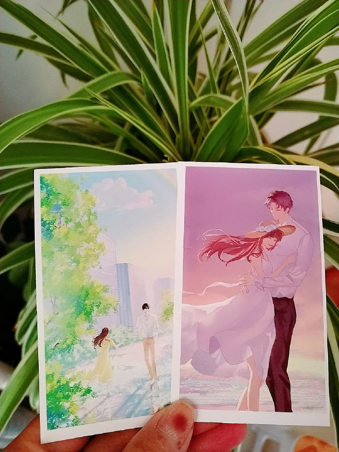原创书评《今日晴》
