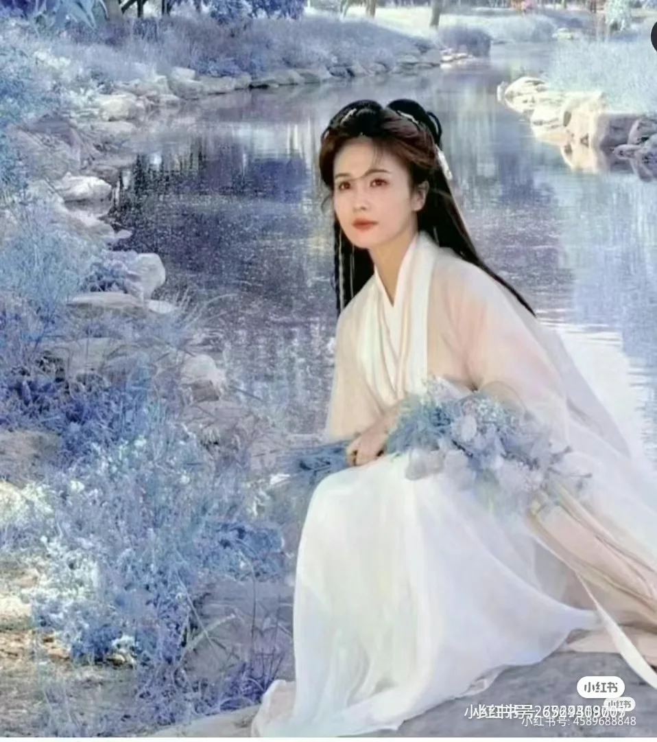 白鹿的头像