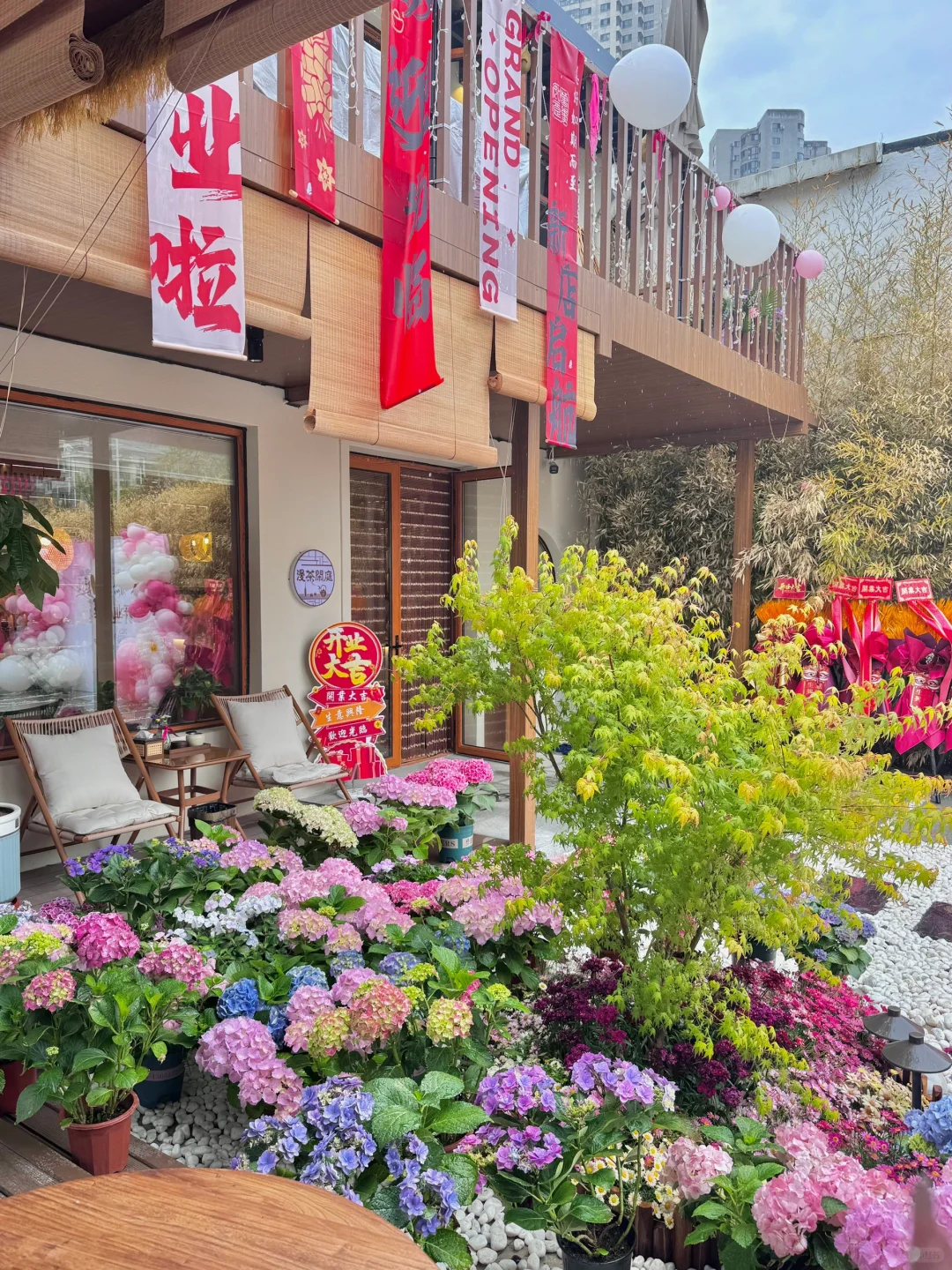 和女朋友闯入莫奈花园💐