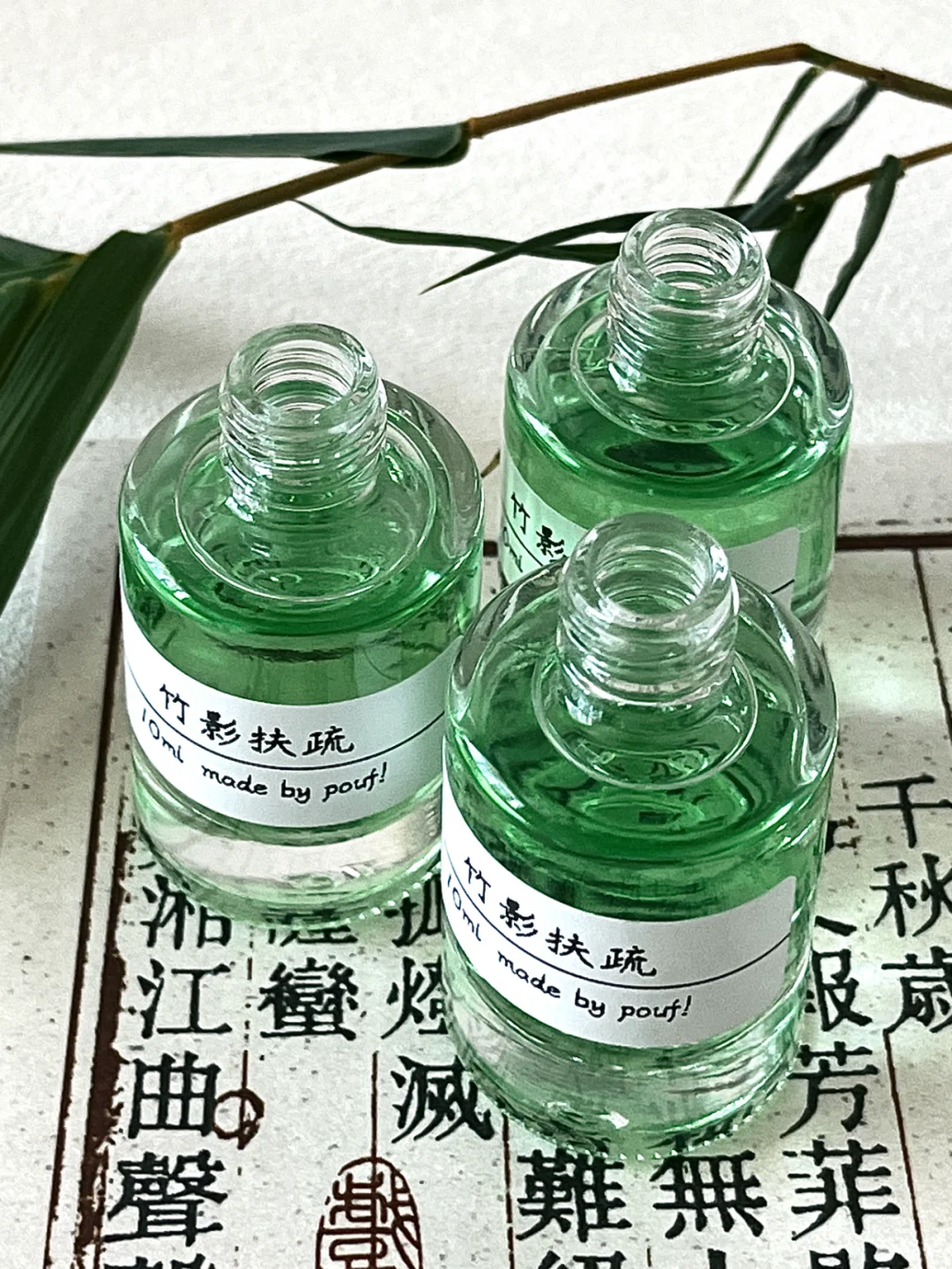 竹影扶疏 / 是骨感竹叶➕透冷雨水