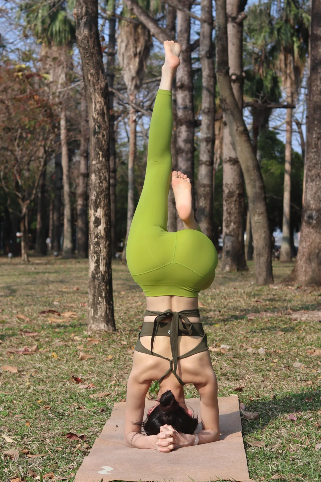 绿野间，阳光下的瑜伽