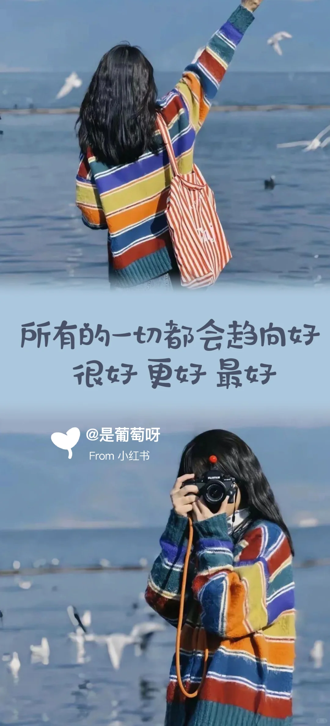 今日份壁纸｜不晚
