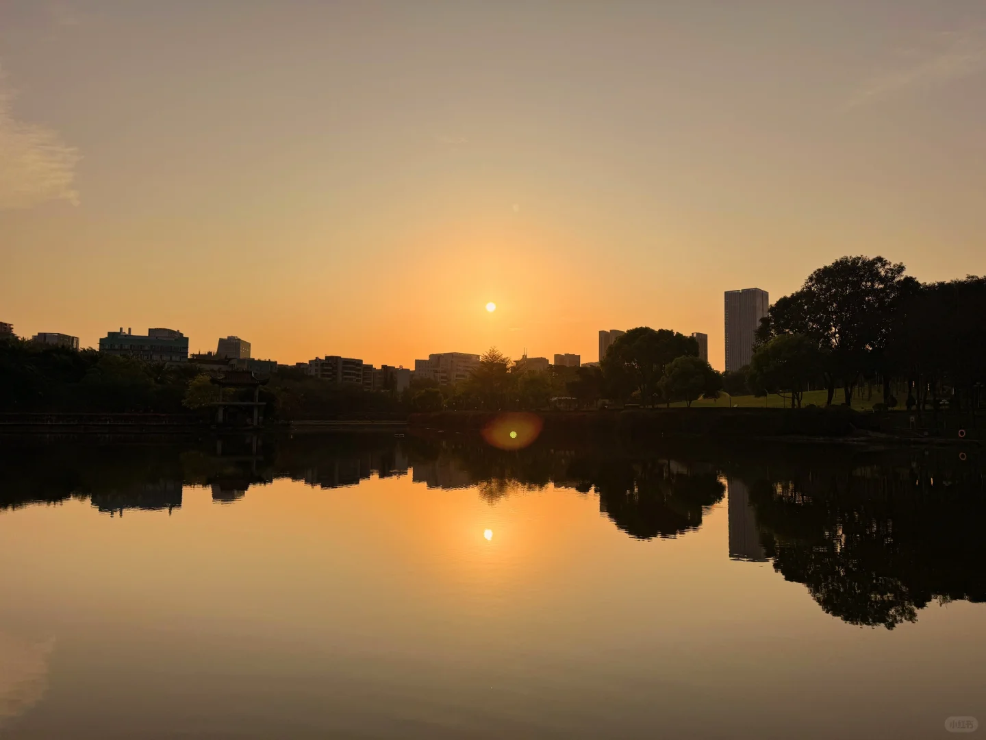 比起皮囊更爱向上的生命力｜晨跑🏃‍♀️日出🌅
