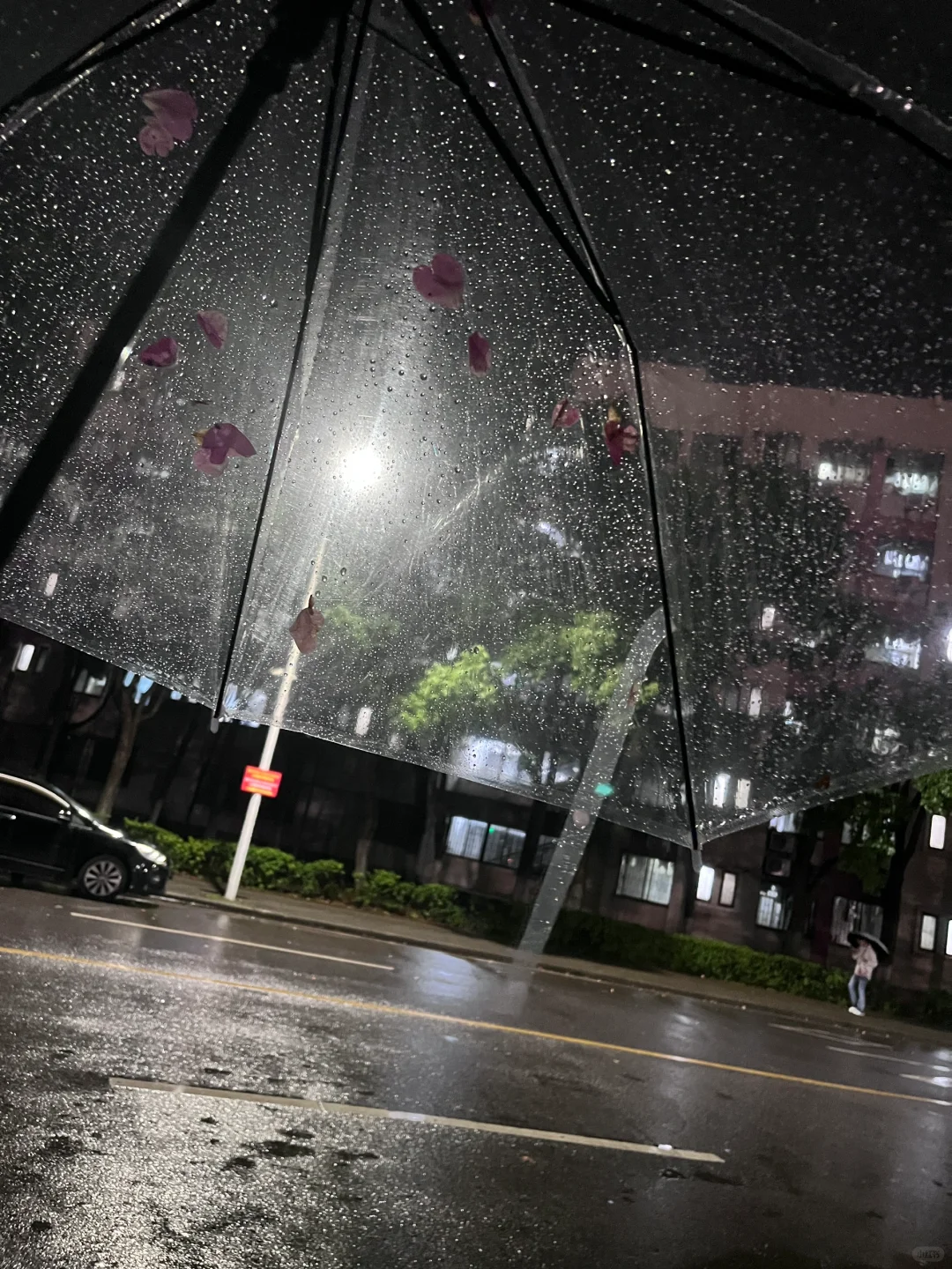 大一｜超出片的花墙！