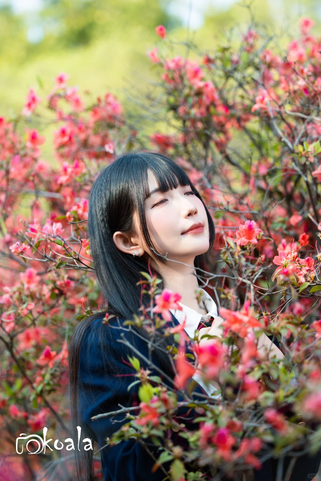 花和少女永远拍不腻