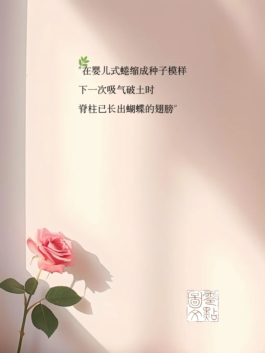 女人练瑜伽时🧡发的文案
