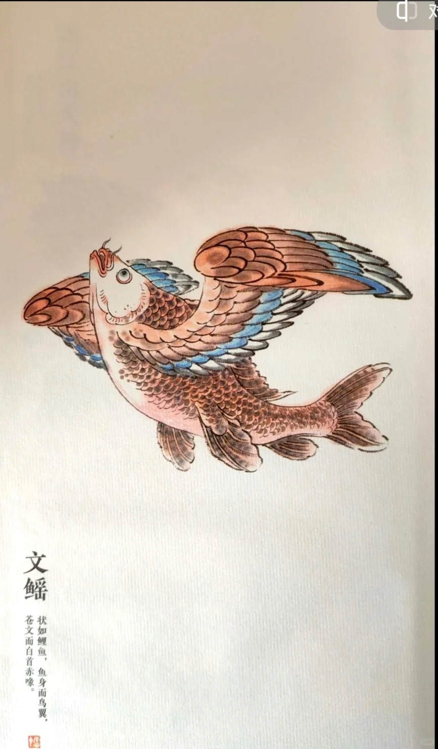 《山海经》文鳐【36】