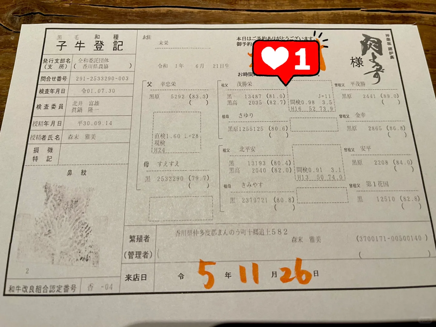 我可太喜欢神乐坂了！今天吃肉！肉よろず
