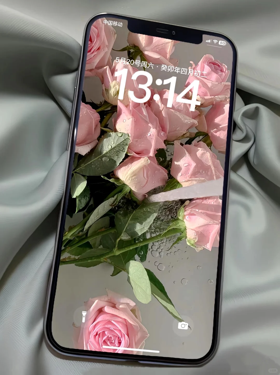 玫瑰花花与蓝天的完美邂逅～🌸