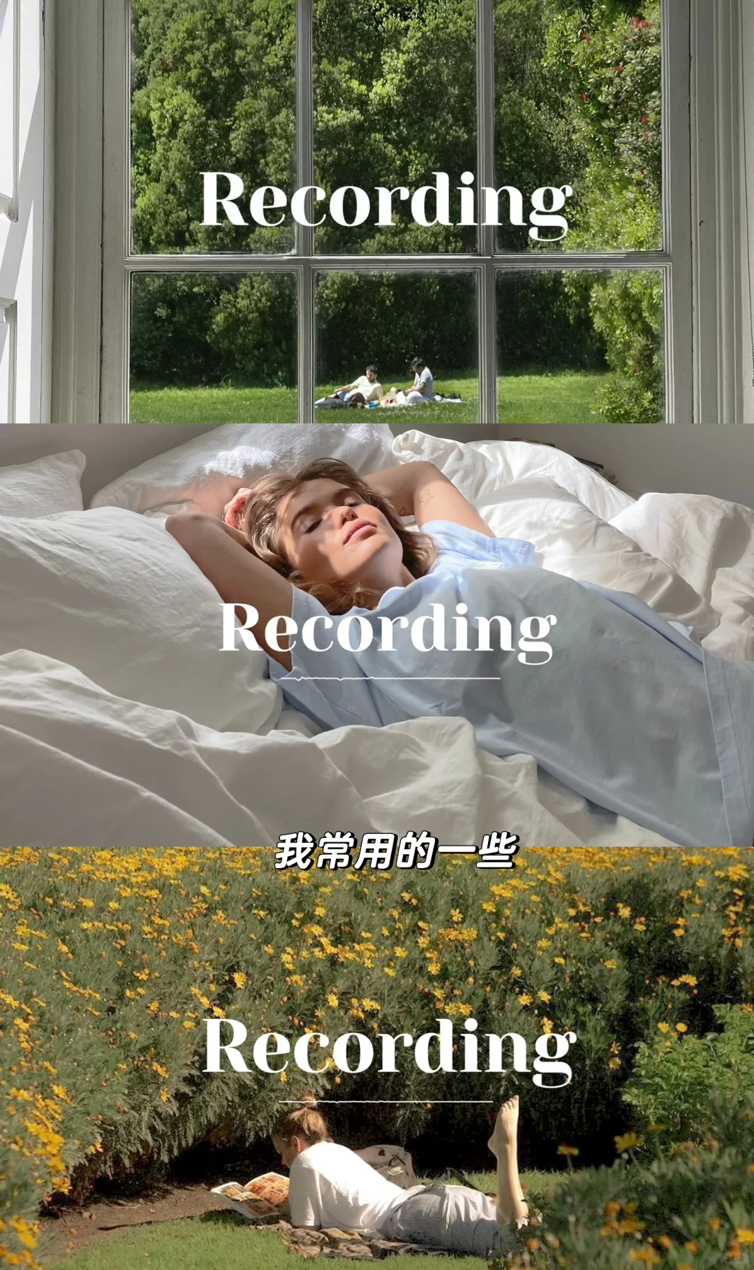 博主人手一份的ins风壁纸怎么找⁉️攻略来了