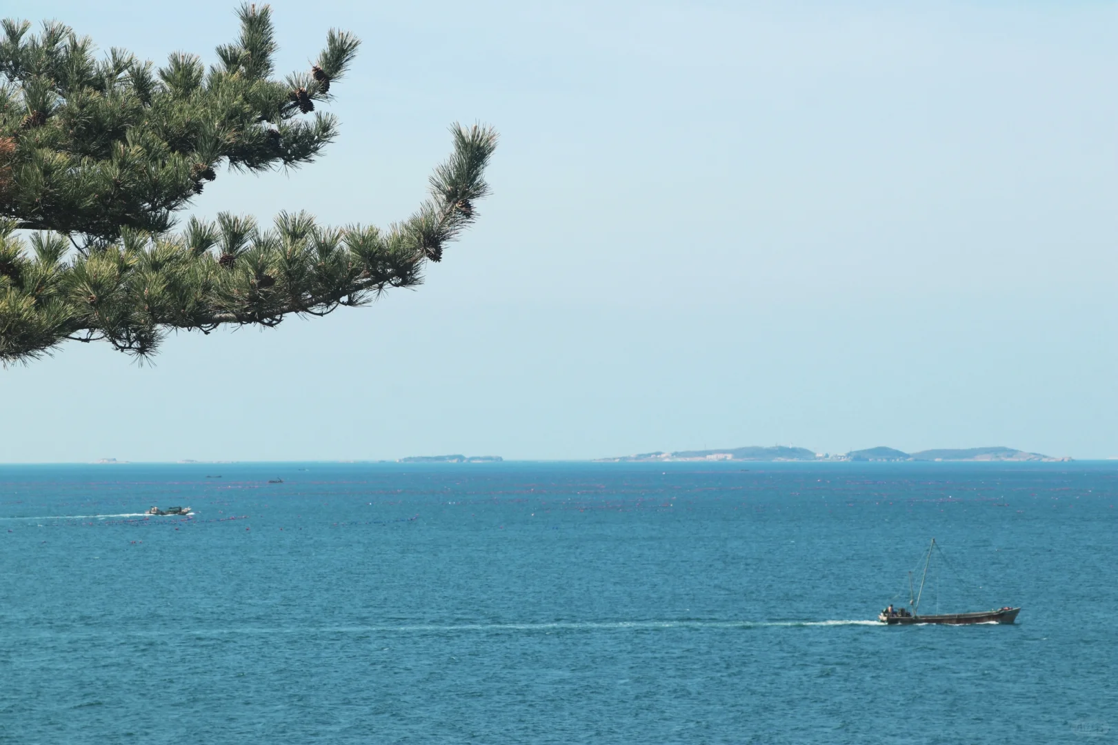 打卡！泳衣出海的夏天来了！🏖️